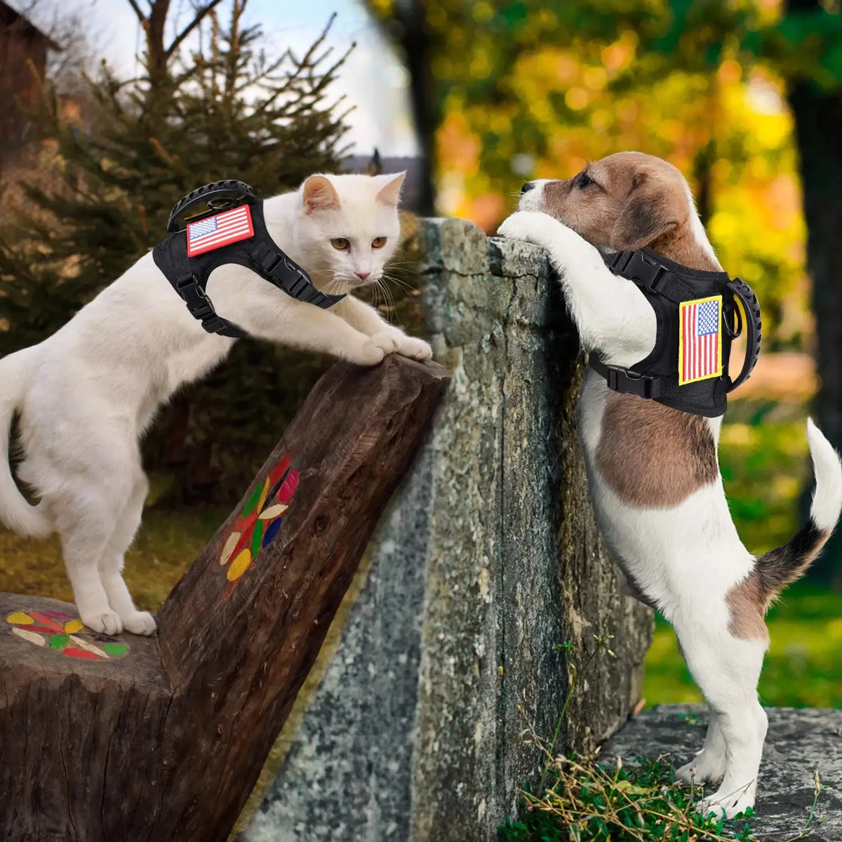 Adjustable Nylon Dogs Cats Harness Leash Set Padded Training Walking