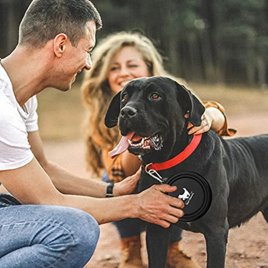 Pack Collapsible Dog Travel Bowls With Pet Feeding Disks