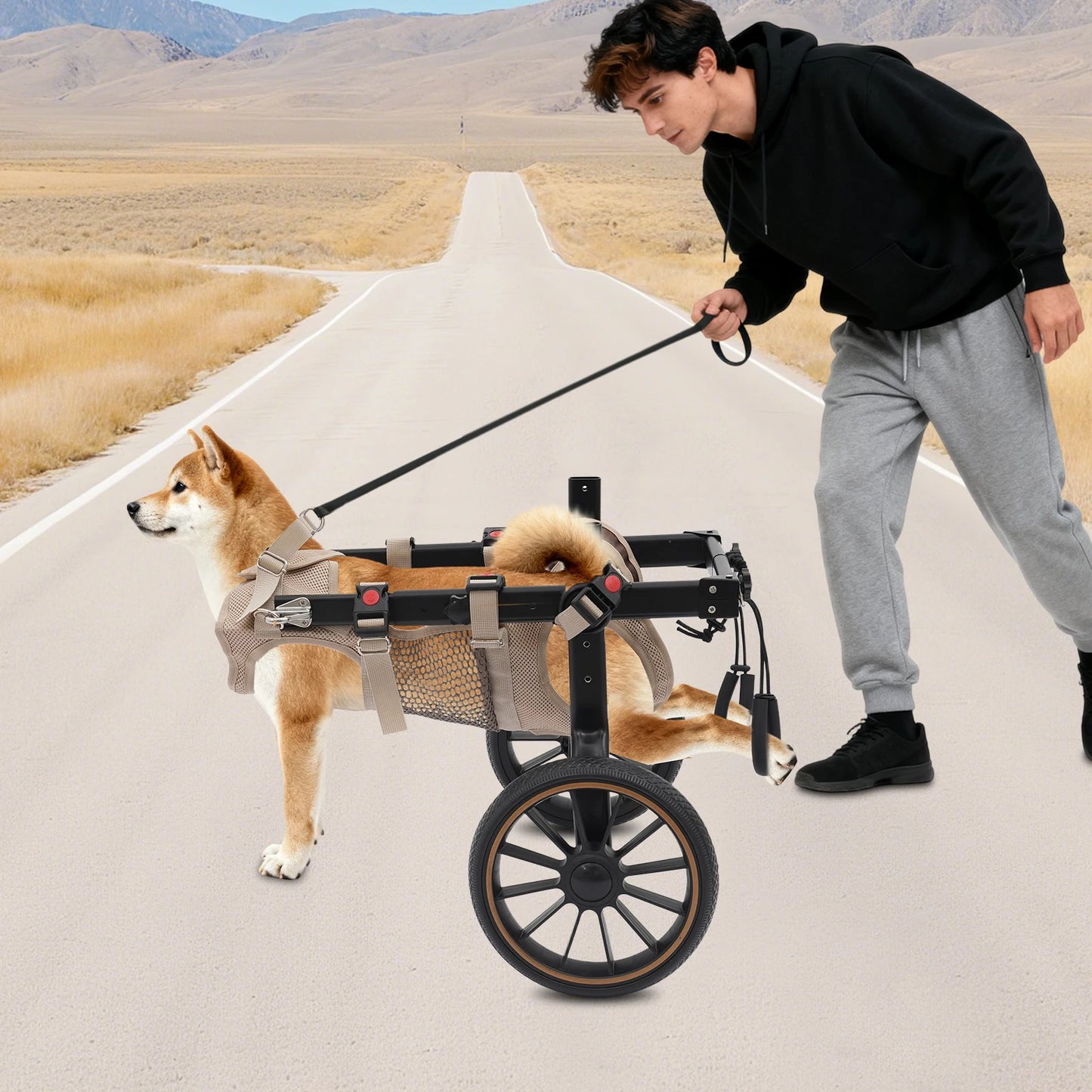 Bymaocar Adjustable Aluminum Dog Wheelchair Leg Support Rehabilitation Aid