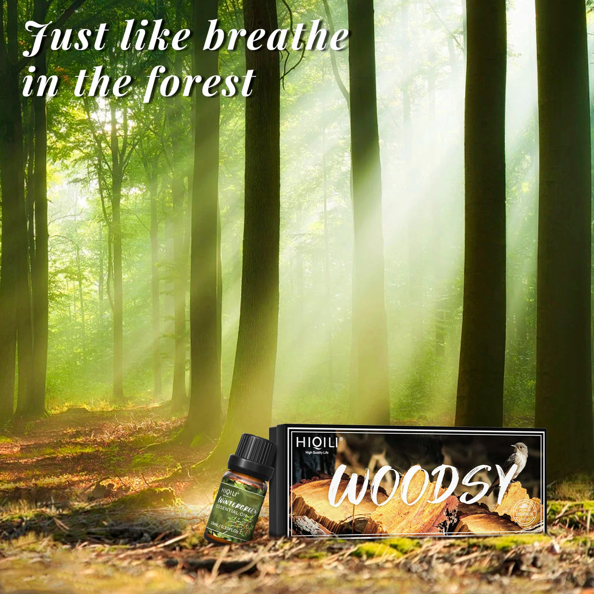 HIQILI Woody Fragrance Oils Gift Set Six Pieces For Diffusers