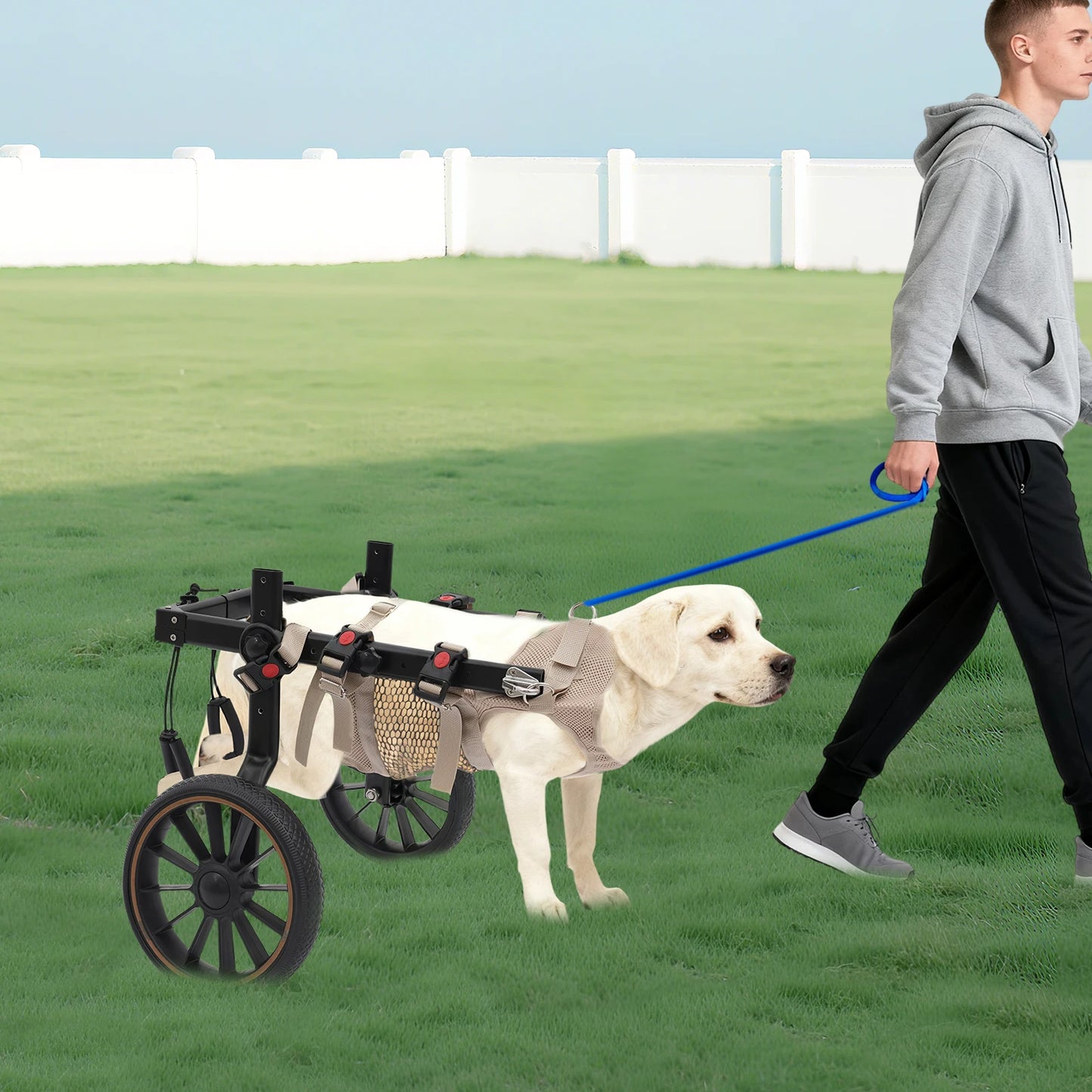 Bymaocar Adjustable Aluminum Dog Wheelchair Leg Support Rehabilitation Aid