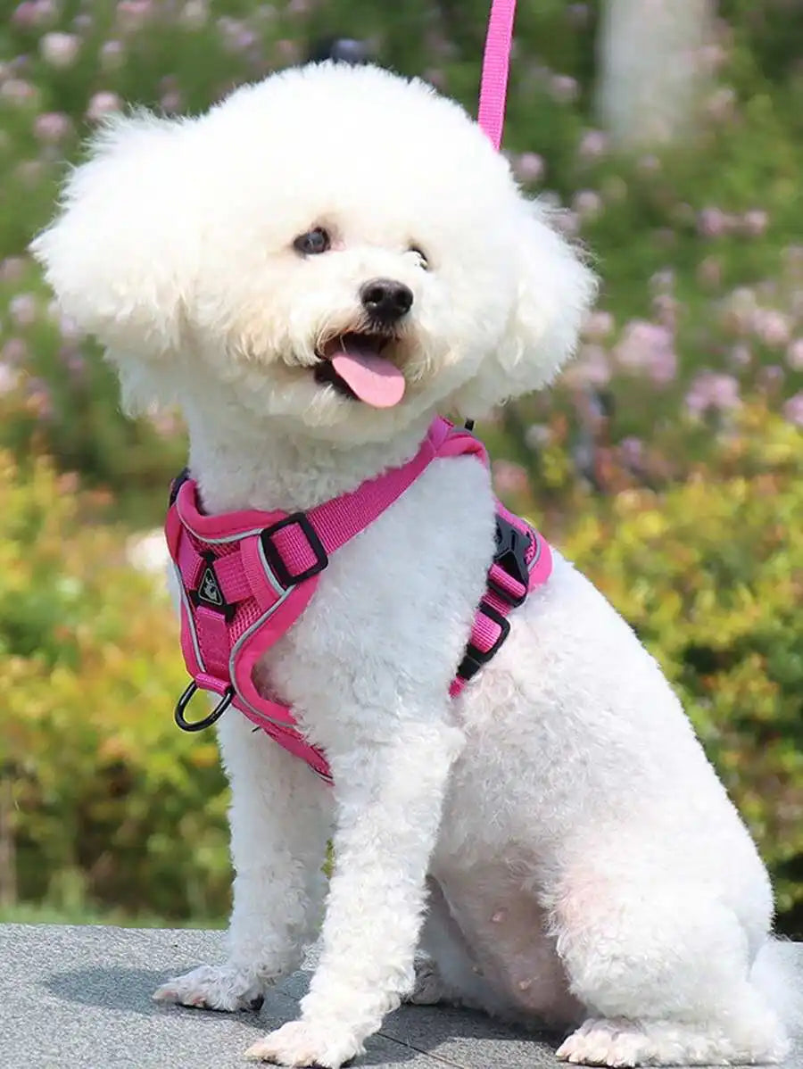 Reflective Adjustable Cat And Dog Harness Leash Set
