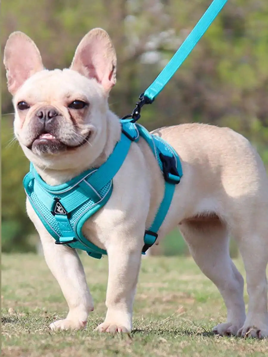 Reflective Adjustable Cat And Dog Harness Leash Set