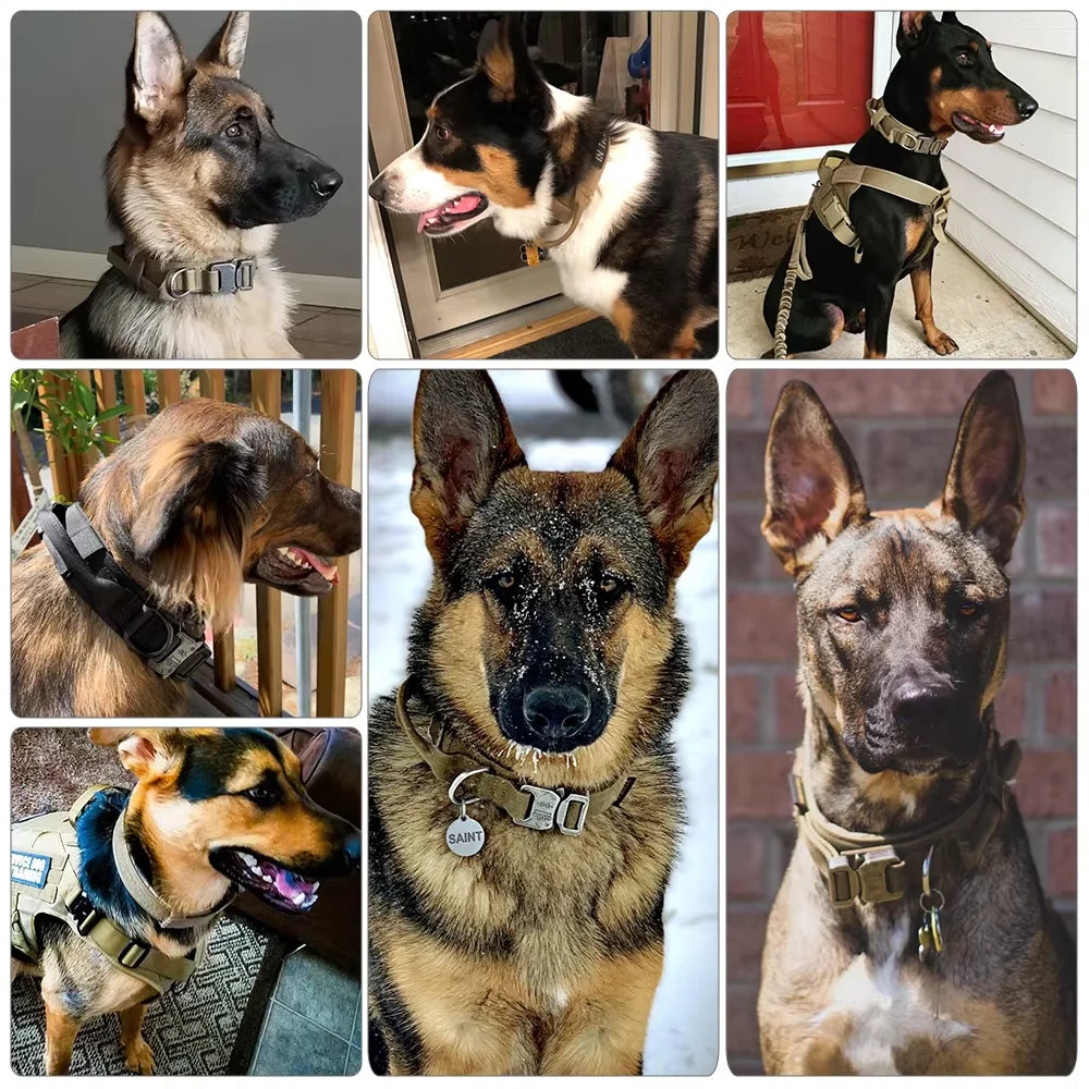 Adjustable Tactical Dog Collar Leash Control Handle Padded Nylon Buckle