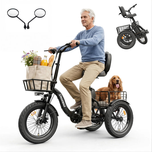 Eilleo Spacewalk 1200W Folding Electric Tricycle With Fat Tires