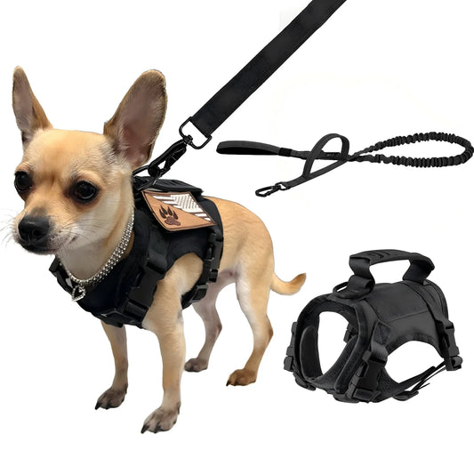 Adjustable Nylon Dogs Cats Harness Leash Set Padded Training Walking