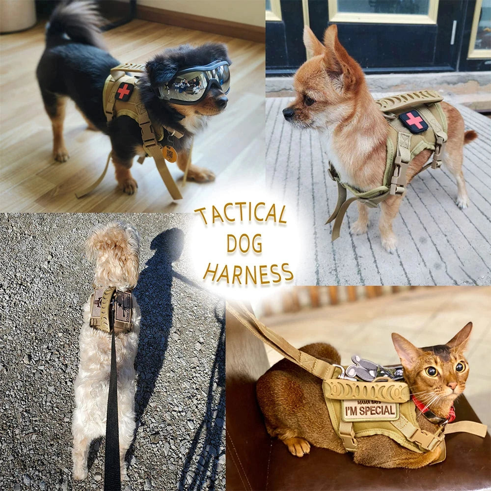Adjustable Nylon Dogs Cats Harness Leash Set Padded Training Walking